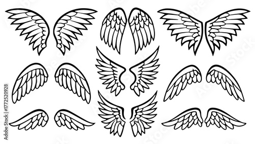 Collection of hand drawn angel and bird wing outlines