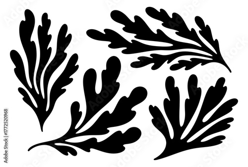 Collection of abstract black seaweed and leaf branch silhouettes