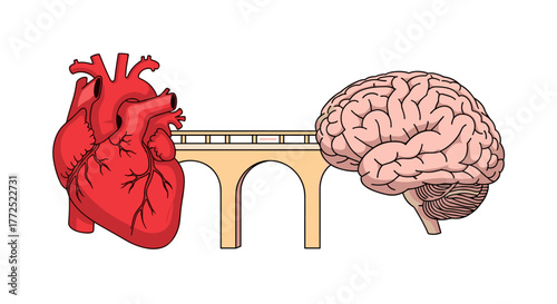 A conceptual illustration depicting the heart and brain connected by a bridge, symbolizing the interplay of emotions and intellect.
