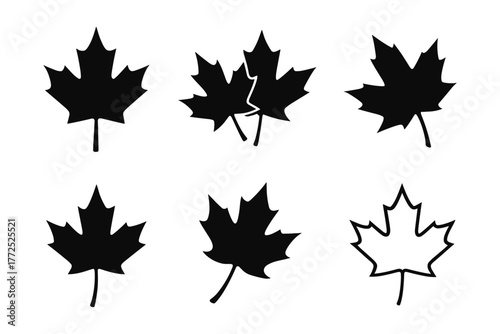 Set of maple leaf silhouettes and outlines in black and white