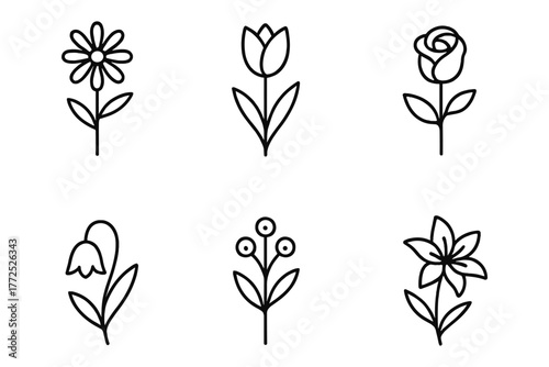 Minimalist line art flowers collection featuring tulip, rose, daisy, lily, bellflower, and berry icon designs