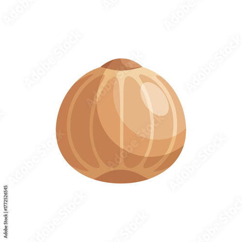 Whole Nutmeg Seed