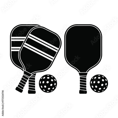 Pickleball paddles and balls for sport and recreation