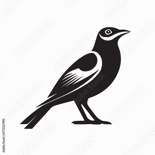 Beautiful Myna Bird Vector Illustration in Natural Style