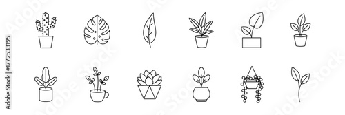 Set of Twelve Minimalistic Line Drawings of Various Houseplants in Unique Pots