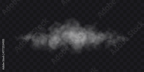 White mist cloud on transparent background. Fog realistic effect.