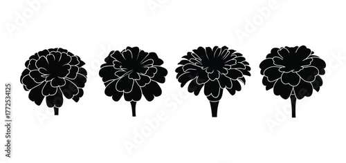 Collection of Four Distinct Flower Silhouettes Botanical Illustration Set
