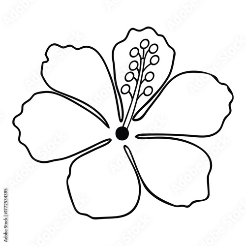 Top View Hibiscus Flower Outline Simple Vector Drawing Illustration