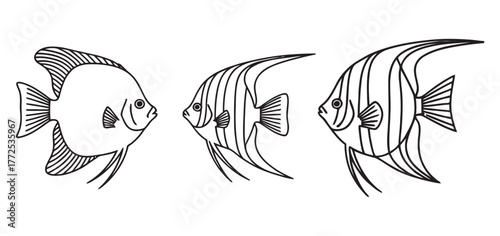 Collection of Unique Angelfish Line Art Illustrations for Diverse Aquatic Designs