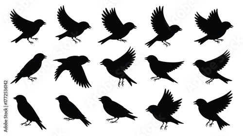 Silhouette finch collection vector art scalableeps illustration set of 16 birds in flight and perched vector