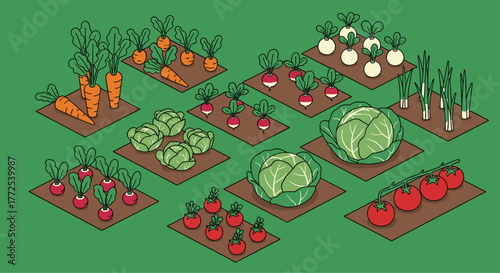 Abundant garden beds bursting with vibrant carrots, cabbages, radishes, tomatoes, onions, and turnips create a bountiful harvest scene