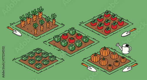Nurture your garden dreams with vibrant carrots, ripe tomatoes, crisp cabbage, and plump pumpkins ready for harvest