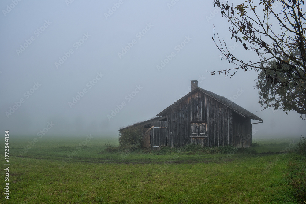 Fototapeta premium Nebel an einer einsamen Holzhütte