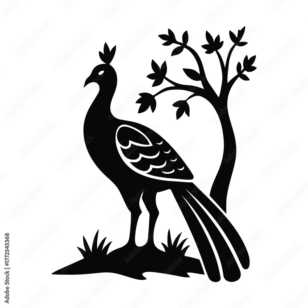 Obraz premium Exotic Peacock SVG