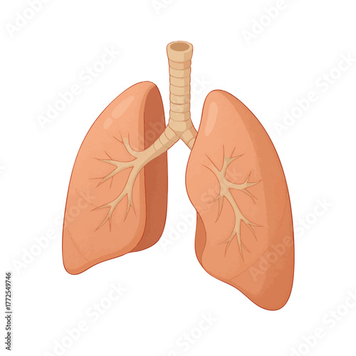 human lungs showing bronchi structure and trachea, ideal for educational or medical content use. Isometric Generative ai vector colorful illustration.