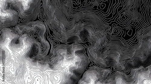 An abstract monochrome image that shows topography mapping