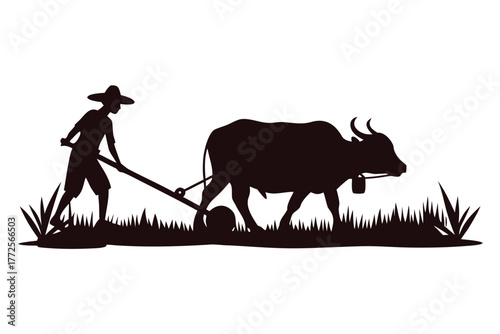 Asian farmer in silhouette uses an ox to plow soil on the grassland area