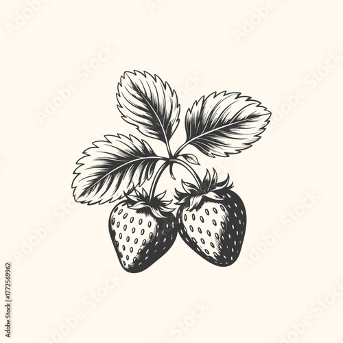 Vintage illustration of two strawberries on a vine with leaves, isolated on a light cream background