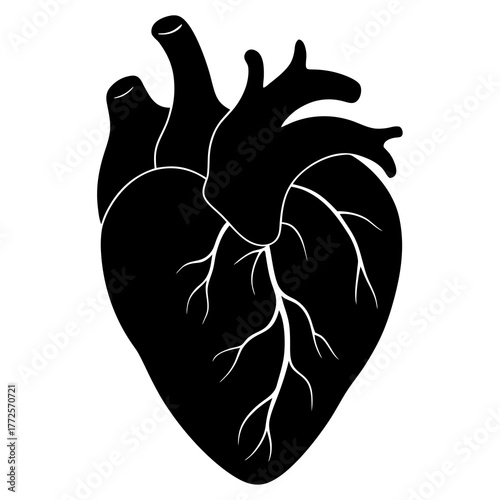 Anatomical heart black and white art on transparent background silhouette