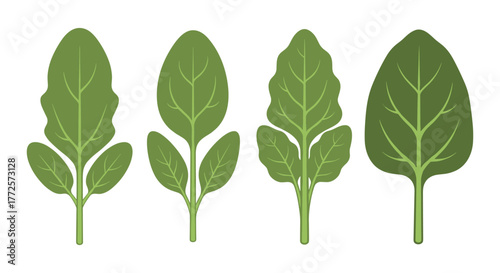 Flat style leaf collection featuring various green leaf designs