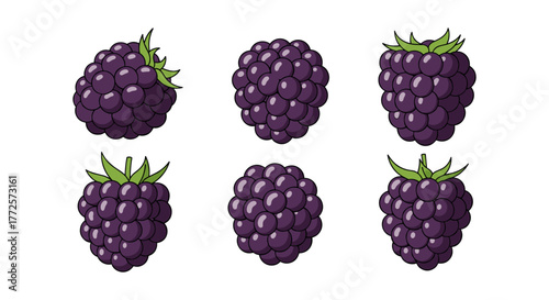 Colorful cartoon blackberries collection with green leaves on white background