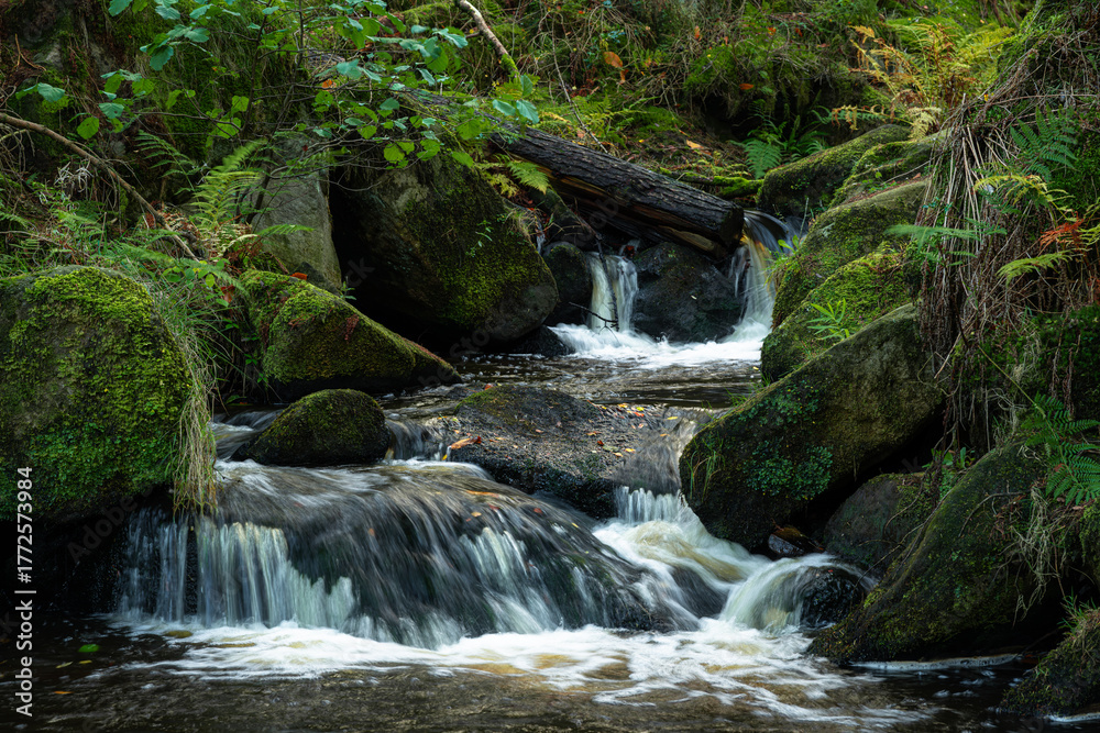 Fototapeta premium Autumn woodland and cascading water at Wyming Brook in the Derbyshire, Peak District National Park.