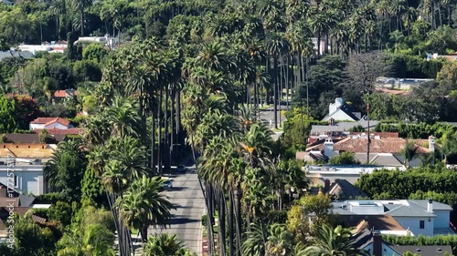 Telephoto drone shot of palm tree lined street in Beverly hills, Los Angeles