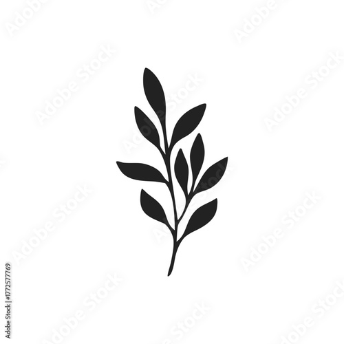 black silhouette of botanical leaf