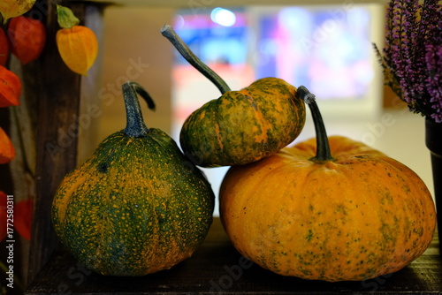 Pumpkins and autumn plants create a colorful, seasonal indoor display.