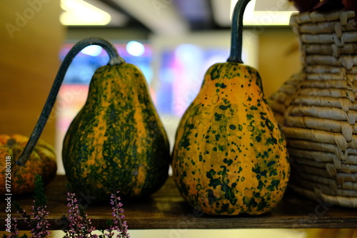 Two speckled gourds sit next to each other on a shelf.