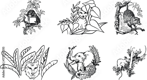 vector illustration of a set of animals