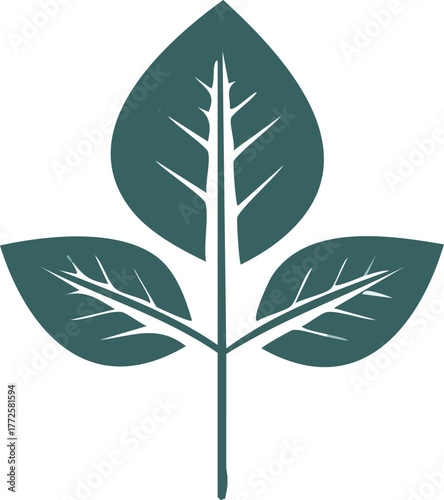 Elegant Leaf Vector Graphic with a Natural, Organic Feel