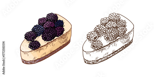 Tasty Creamy Sweet Dessert. Vintage Vector Monochrome Illustration. Hand drawn sketch of Delicious Cake With blackberry.  Design Gastronomy Product element.