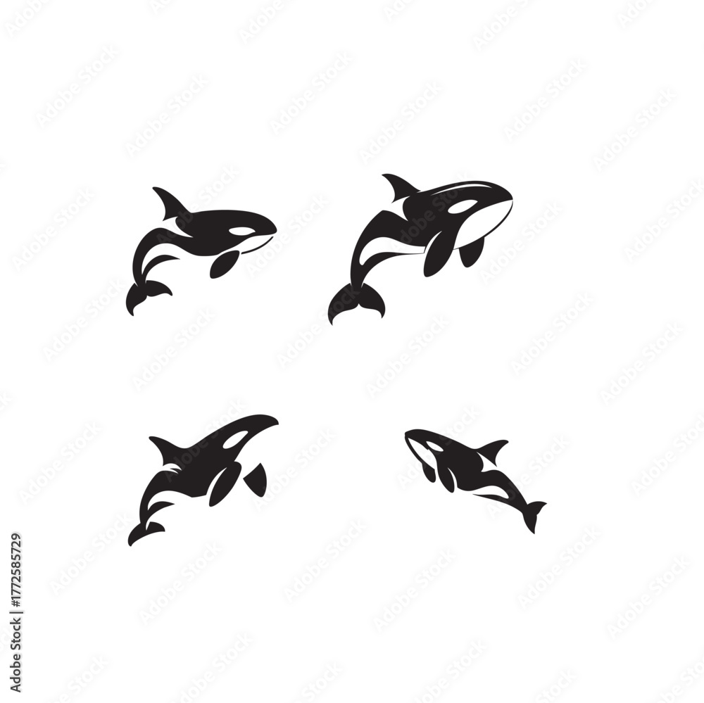 Fototapeta premium orca black and white animal silhouette vector