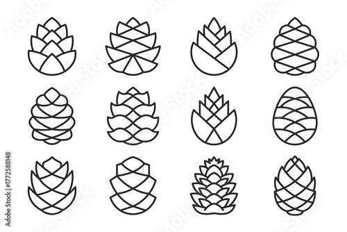 Set of Pine Cone Line Icons – Minimalist Forest and Nature Symbol Collection