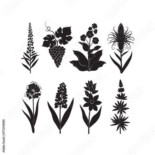 Intricate black silhouette floral designs.