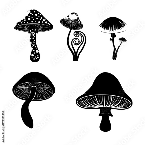 Mystical forest elements, including a spotted pink toadstool, a curled green cap, a luminous orange fungus, a rosy cap, and a purple dotted variety, comprise a fantasy magic neon glowing mushroom