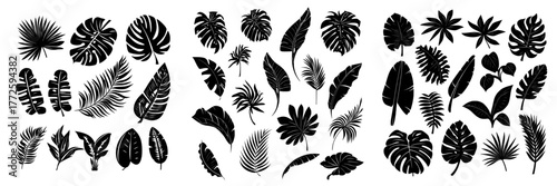 Exotic green jungle foliage elements, including monstera, banana, palm, and calathea leaves, are showcased in a tropical leaves collection with a flat style design