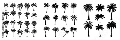 A collection of palm tree silhouettes is available for use in design and decorative applications