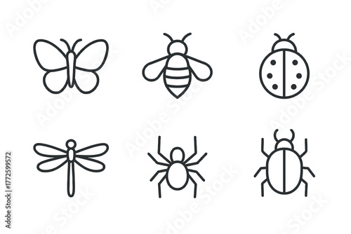 Simple line drawings of butterfly, bee, ladybug, dragonfly, spider, and beetle