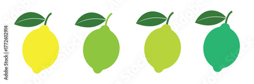 Fresh lemon fruit  silhouette. Citrus isolated on white background. lemon icon for lemonade juice, vitamin C.Ideal for emblem natural product, farmers market, cosmetic. Vector illustration 
