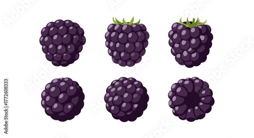 Realistic blackberry series with various angles on white background