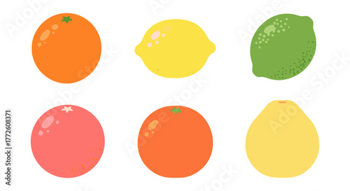 Colorful fruit set featuring citrus and tropical varieties in minimalist art style