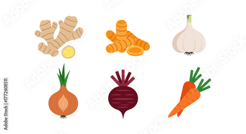 Colorful flat icons of root vegetables for culinary and health themes