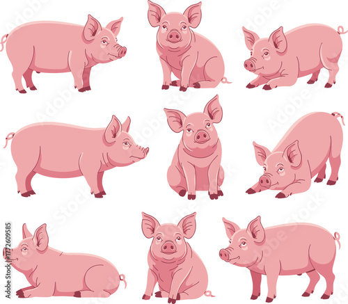 Cute pig cartoon set, funny pig poses, farm animal vector, pink pig illustration, pig character design, flat vector illustration