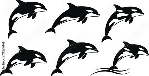 Orca dolphin silhouette sequence, killer whale jumping motion, marine wildlife vector art, ocean animal illustration, aquatic mammal design, flat vector illustration
