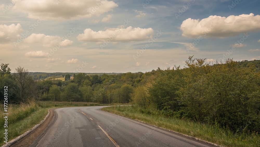 Fototapeta premium Winding rural road surrounded by forest, seasonal change