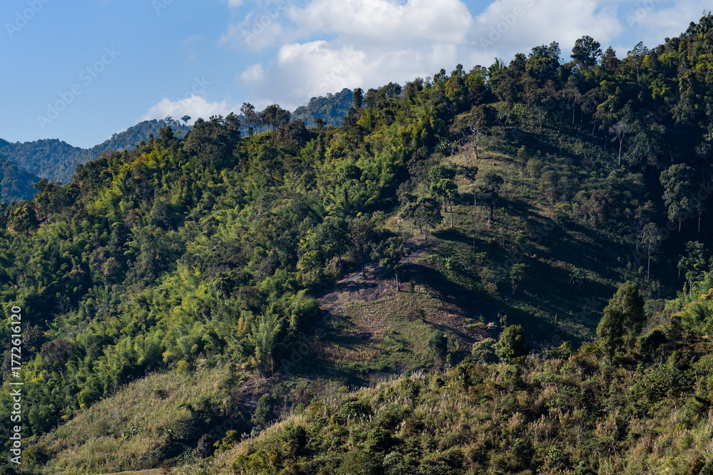 Obraz premium Mountain Serenity, Gentle sunlight paints mountain slopes covered in lush green forest. A tranquil view of untouched nature at Chiang Rai Province, Thailand.