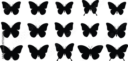 set of butterfly silhouettes in assorted wing shapes, depicting nature and insect diversity vector