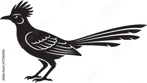 Hoatzin silhouette vector illustration design white background